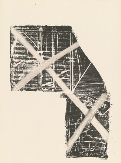 Tampa 12