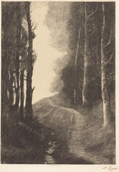 Landscape with Birch Trees (Le paysage aux bouleaux)