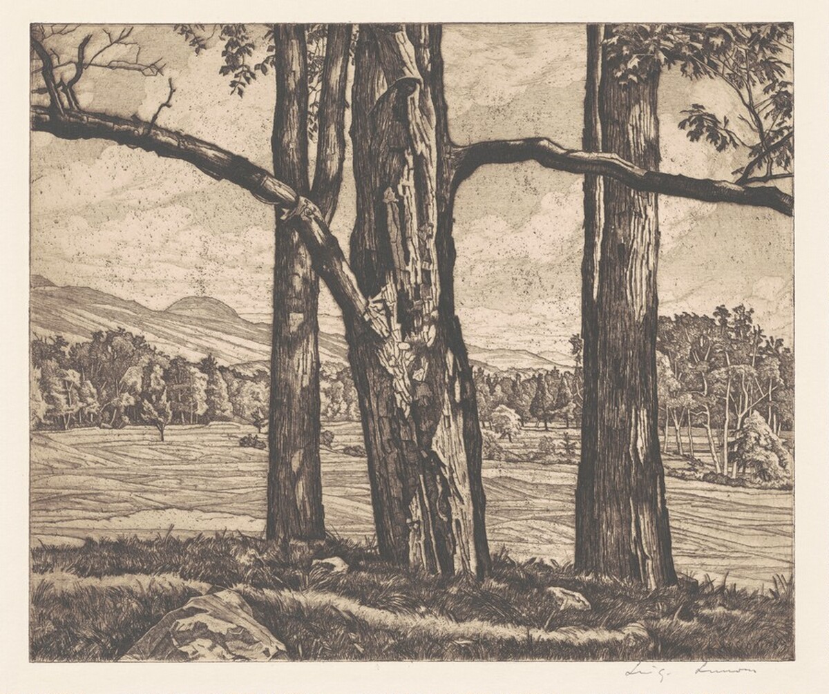 Dominating Trees by Luigi Lucioni