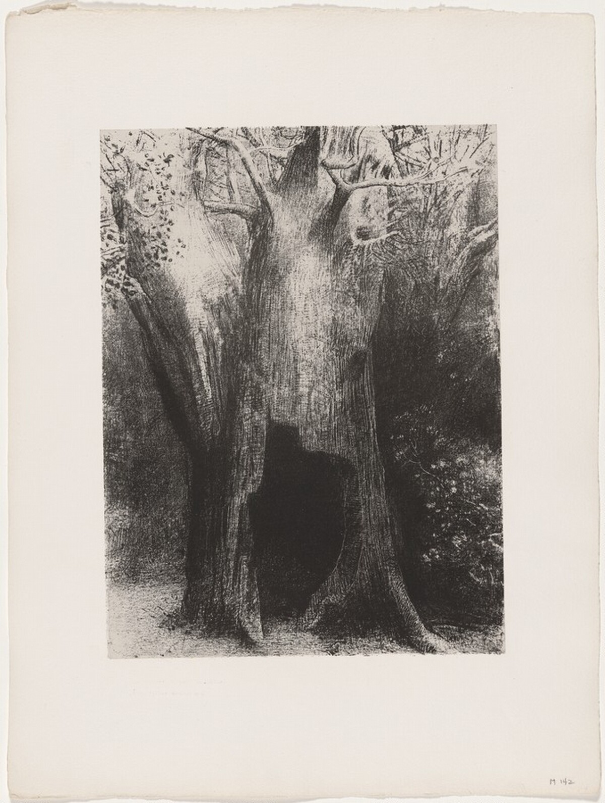 Je Me Suis Enfoncé dans la Solitude. J'habitais L'Arbre Derrière Moi by Odilon Redon, Georges Aubert after Redon, and Gustave Flaubert (author)