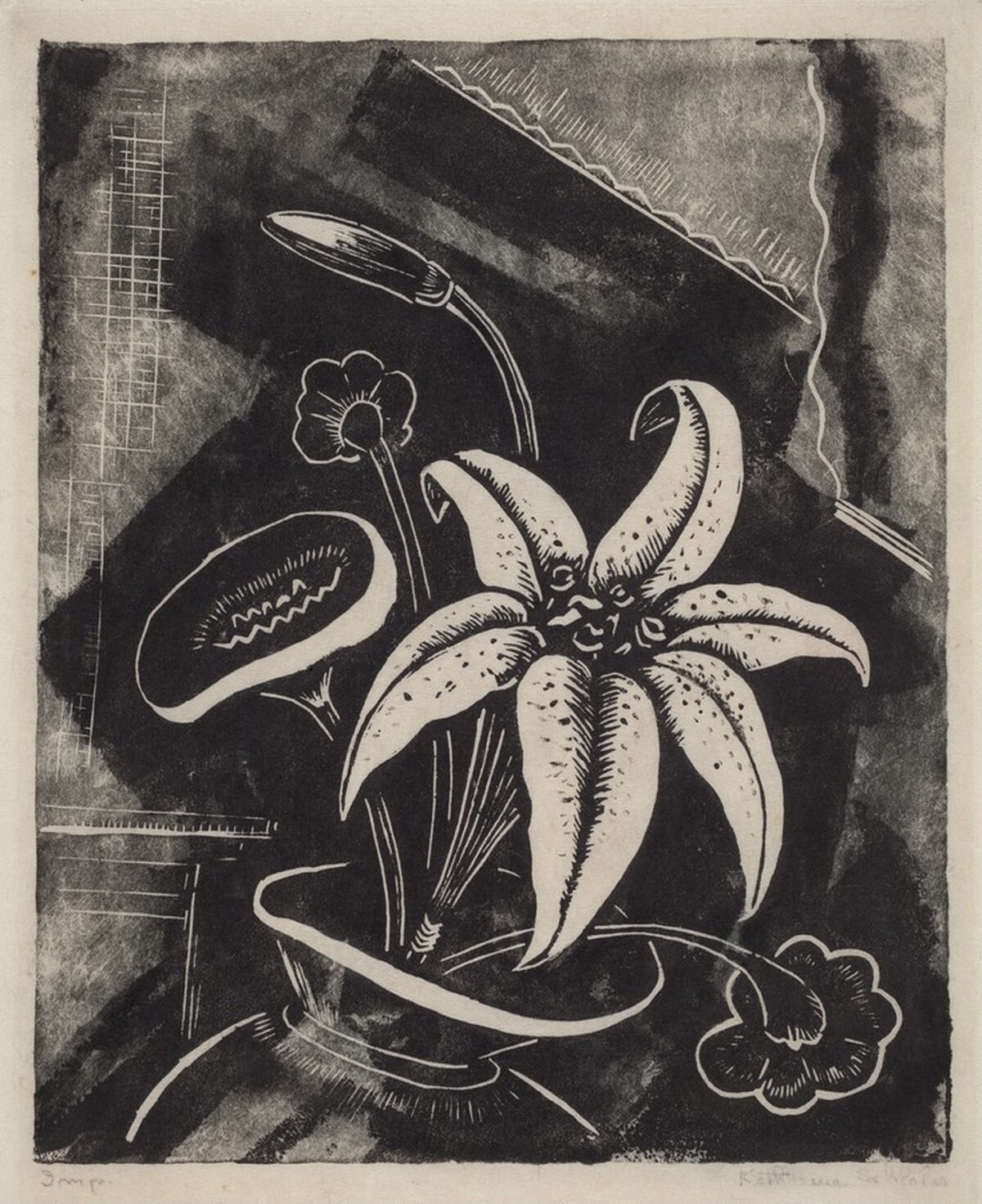 Lily by Katharine Schlater