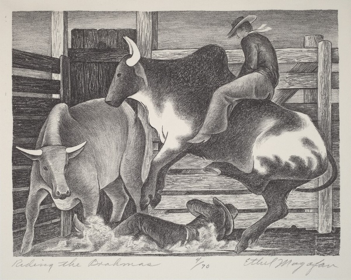 Riding the Brahmas by Ethel Magafan