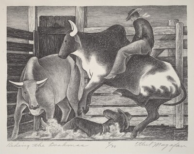 Riding the Brahmas