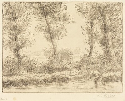 Banks of the Liane (Les bords de la Liane)