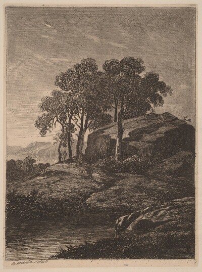 Trees by a Rock