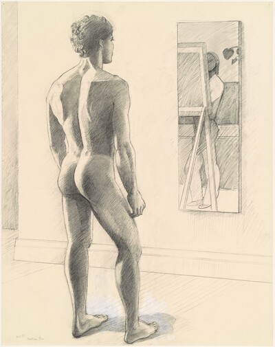 The Model