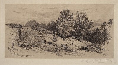 A Fallow Field