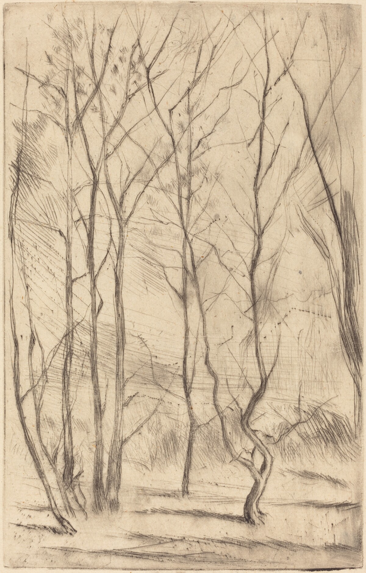 The Dam Wood by James McNeill Whistler