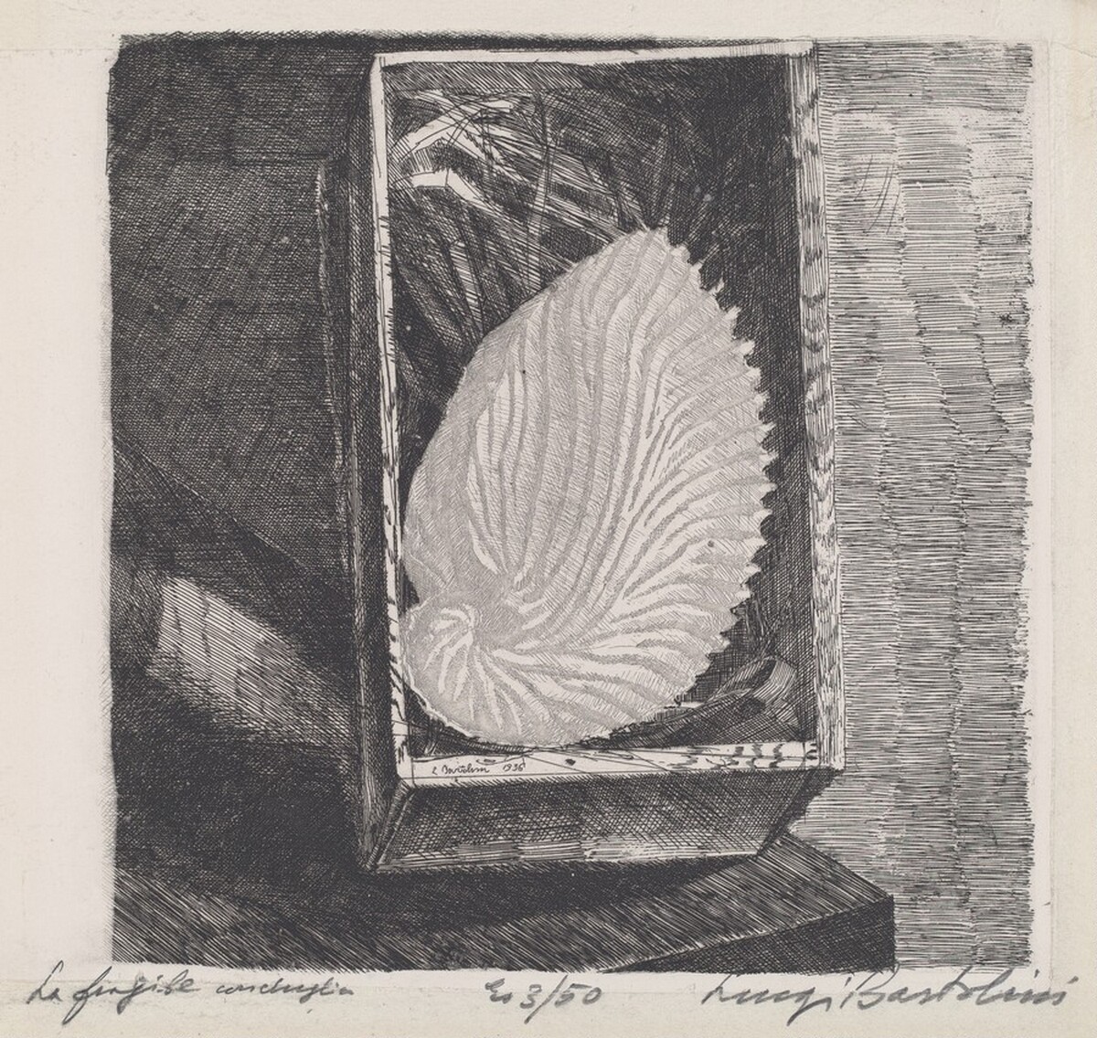 La fragile conchiglia [The Fragile Shell] by Luigi Bartolini