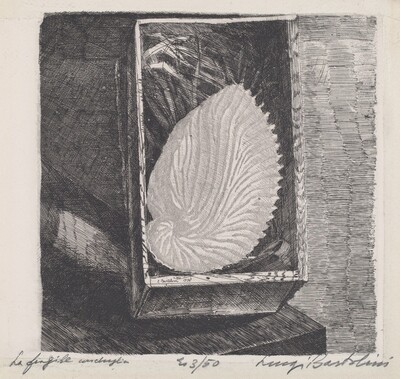 La fragile conchiglia [The Fragile Shell]