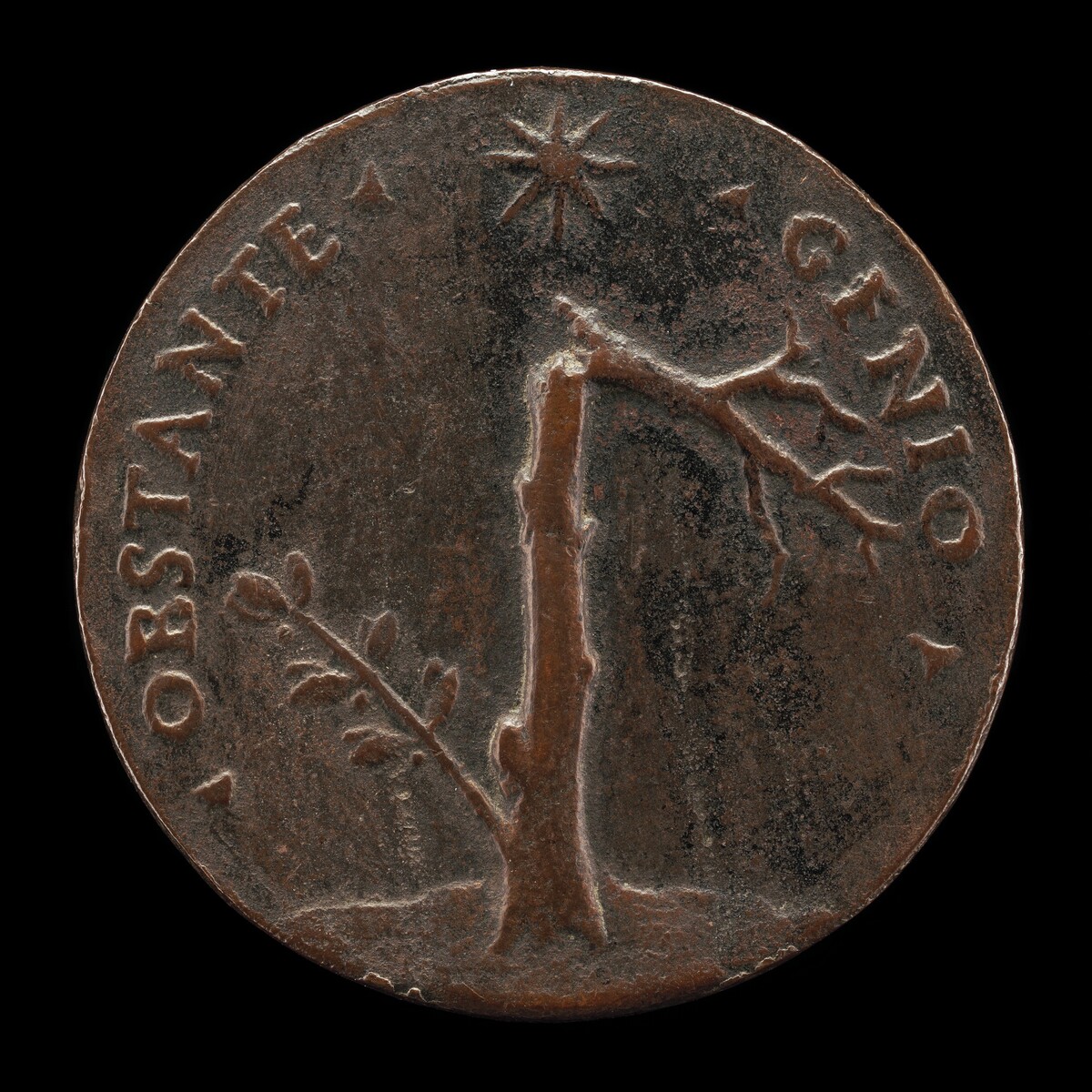 Broken Laurel Tree with Leafy Branch [reverse] by Follower of Andrea Briosco, called Riccio