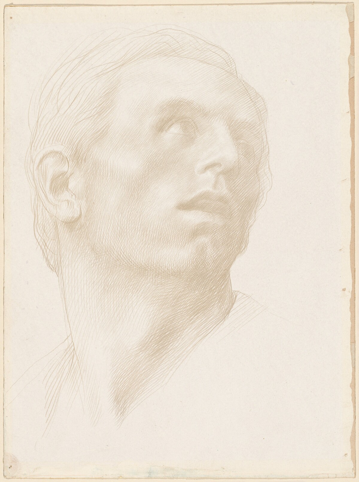 Head of a Man Looking Up to the Right by Alphonse Legros