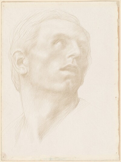 Head of a Man Looking Up to the Right