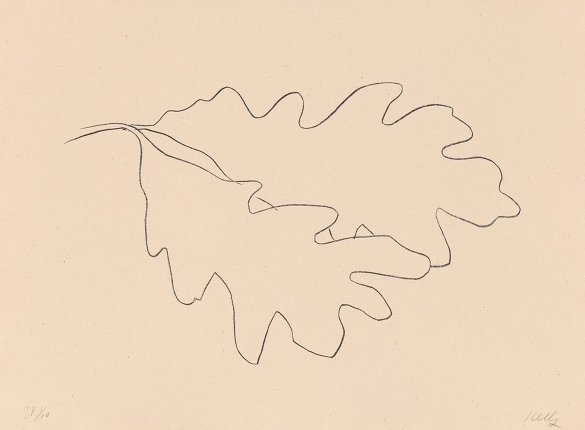Oak VII by Ellsworth Kelly