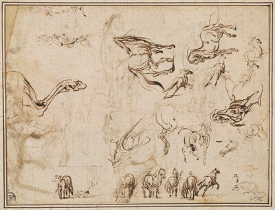 Studies of Horses [verso]