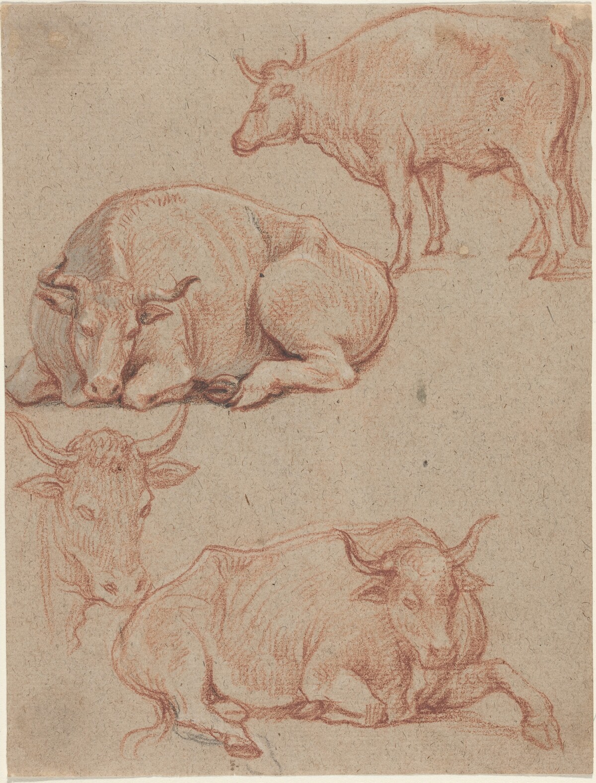 Four Cows by Claude Lorrain