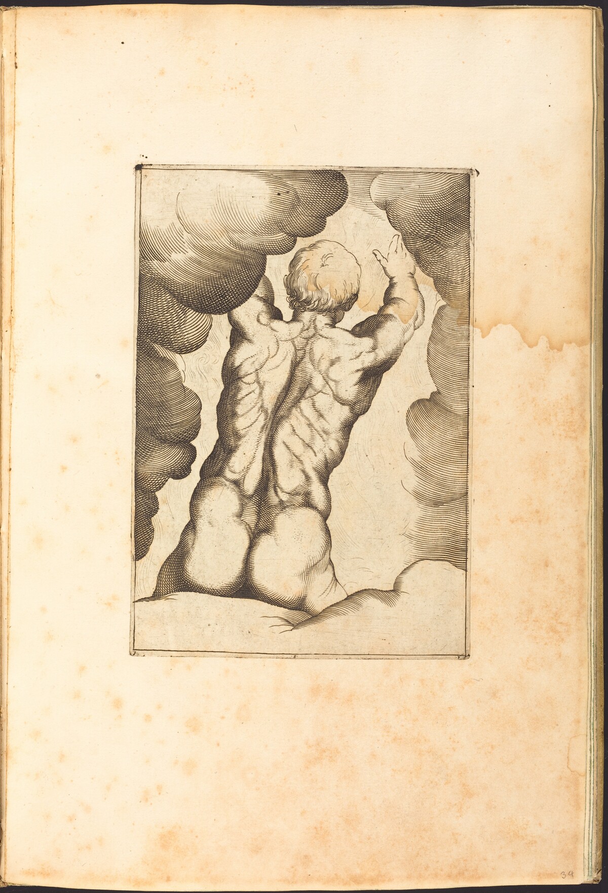 Print from Drawing Book by Luca Ciamberlano