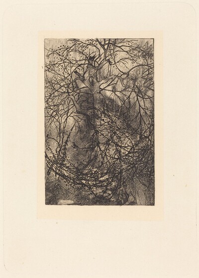 Branches