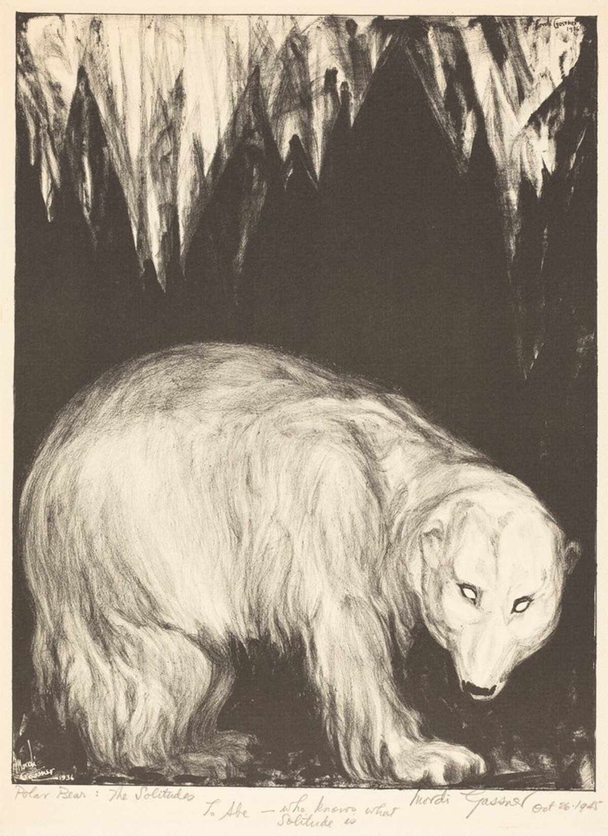 Polar Bear: The Solitudes by Mordi Gassner