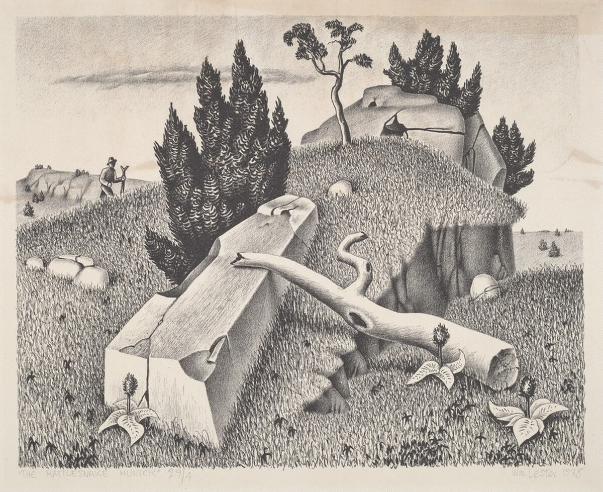 The Rattlesnake Hunter by William Lewis Lester