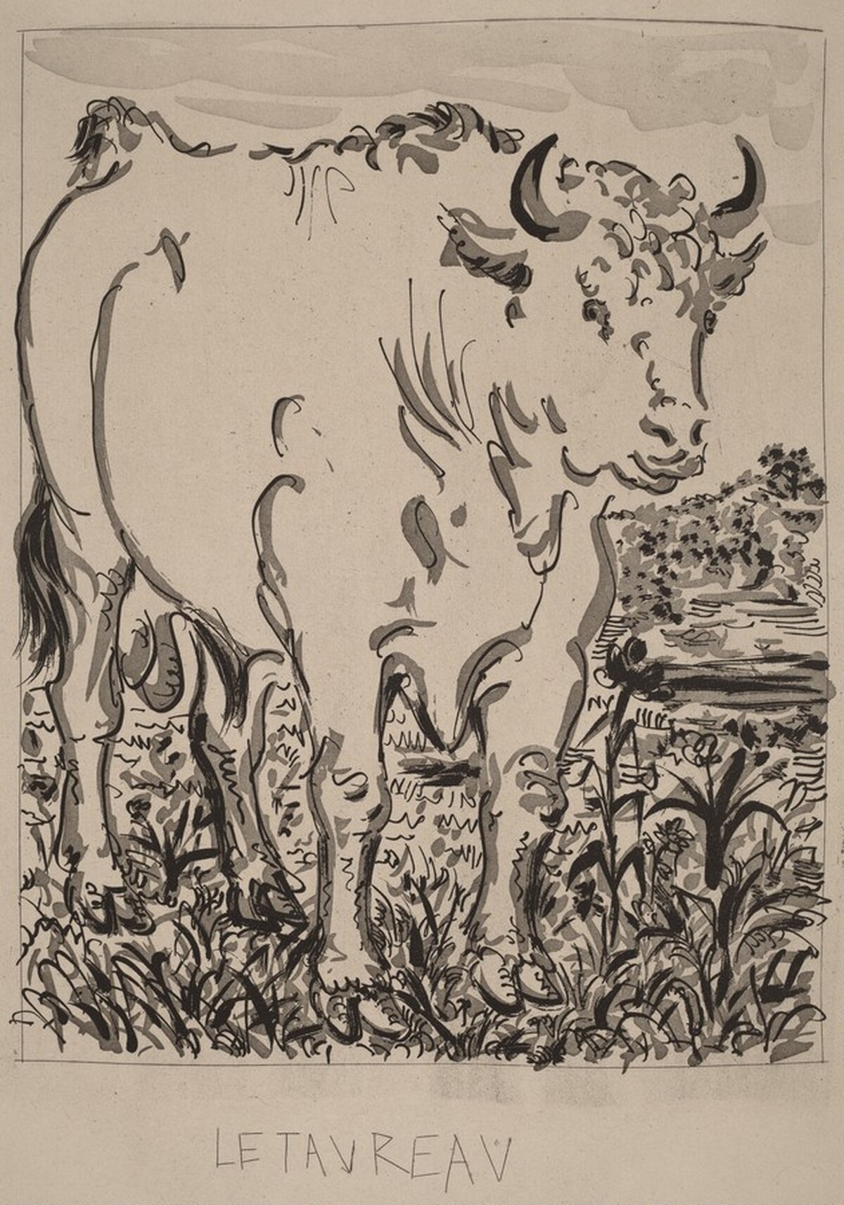 Le Taureau (The Bull) by Pablo Picasso
