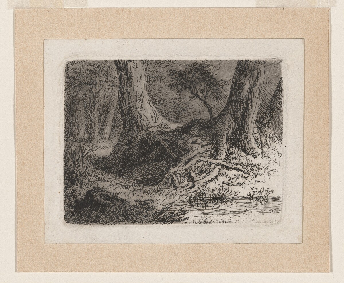 Trees with Tangled Roots by Anton Kölbl