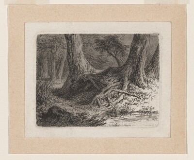 Trees with Tangled Roots