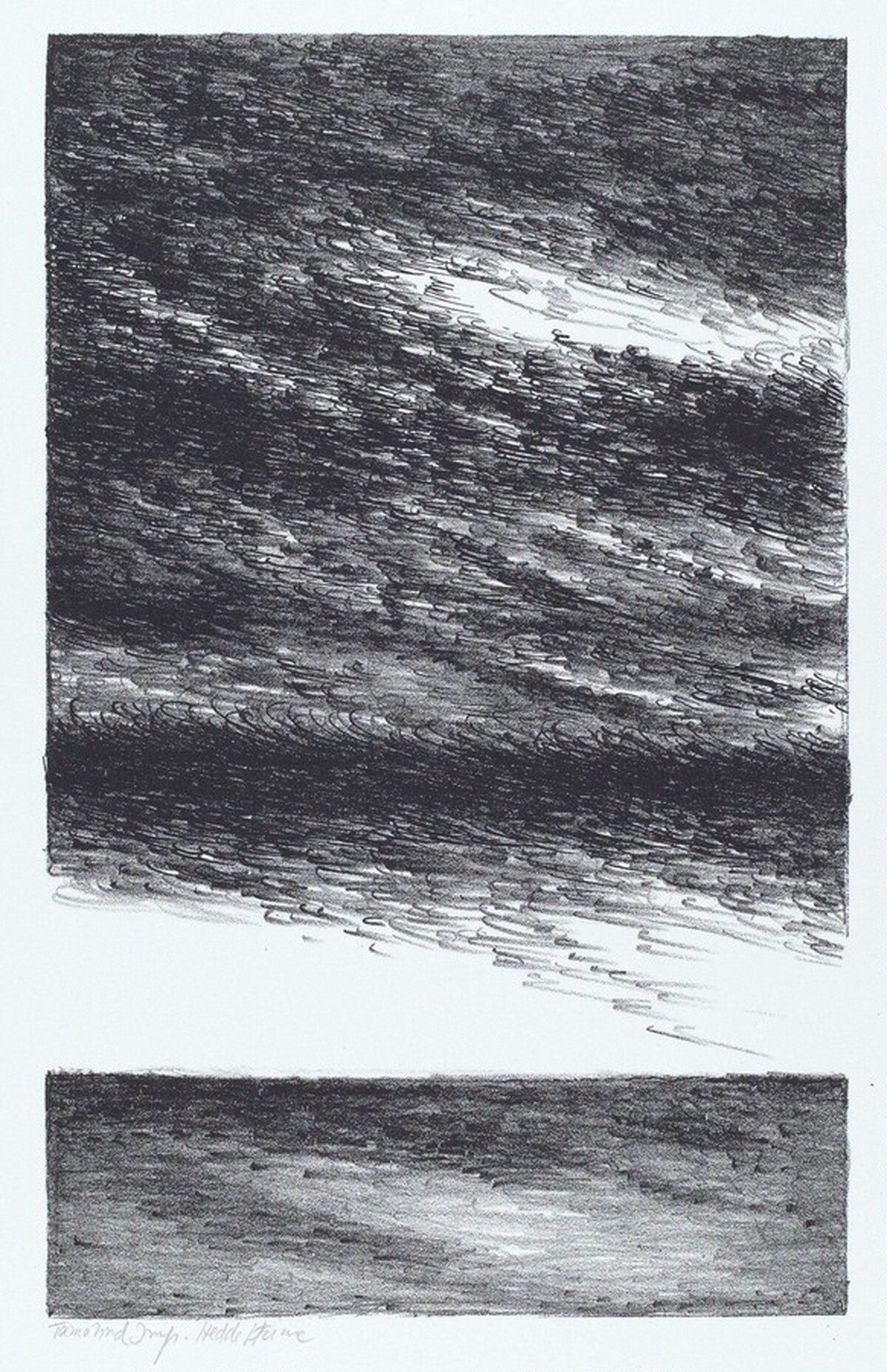 Untitled by Hedda Sterne