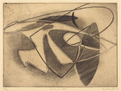 Woman in a Net