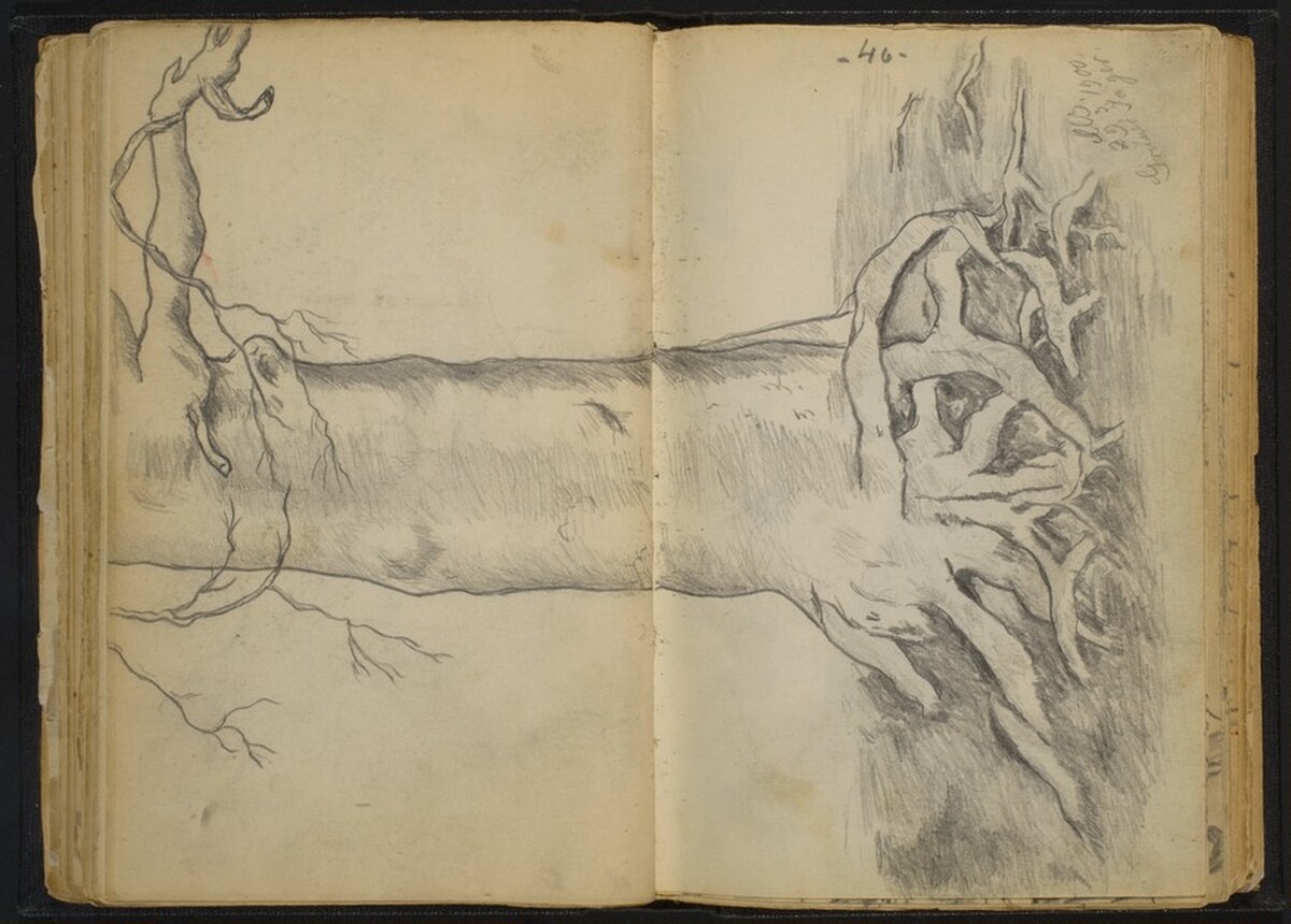 Tree with Gnarled Roots by Max Beckmann
