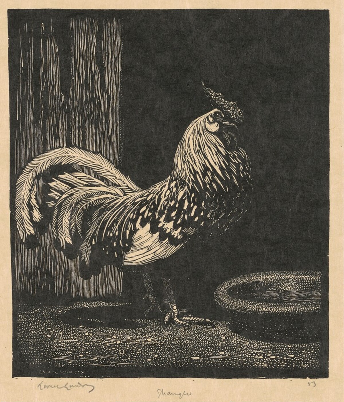 Spangles by Lionel Lindsay