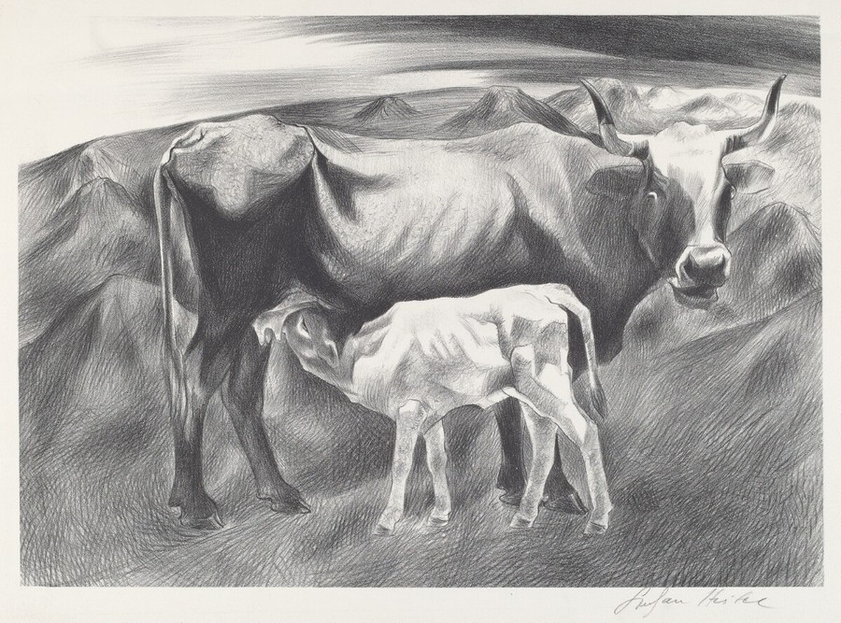 Cow and Calf by Stefan Hirsch