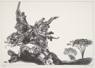 The Quick and the Dead