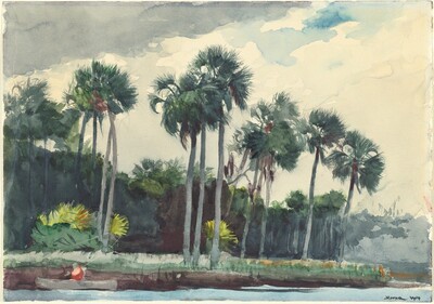 Red Shirt, Homosassa, Florida