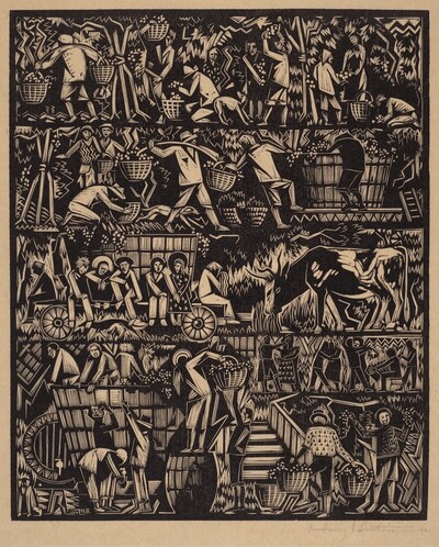 Grape Harvesters