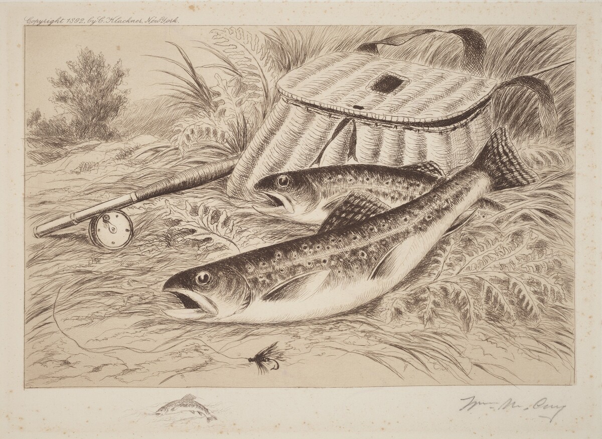A Good Catch by William De La Montagne Cary