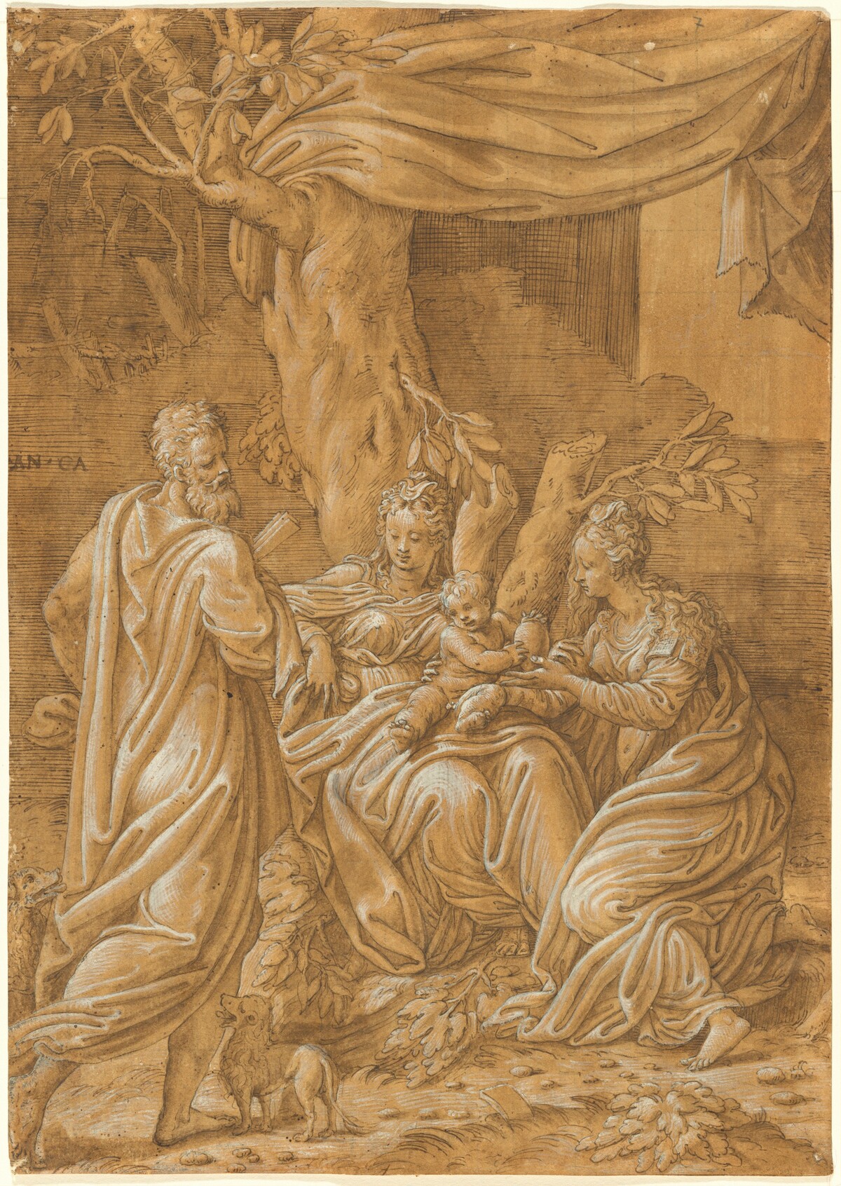 Virgin and Child with the Prophet Daniel and Mary Magdalene by Antonio Campi