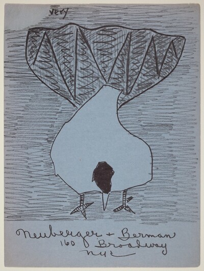 Fantail Pigeon
