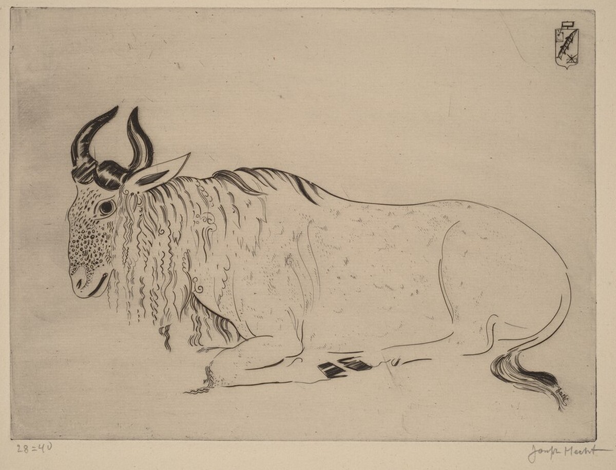 Buffalo (Buffle) by Joseph Hecht
