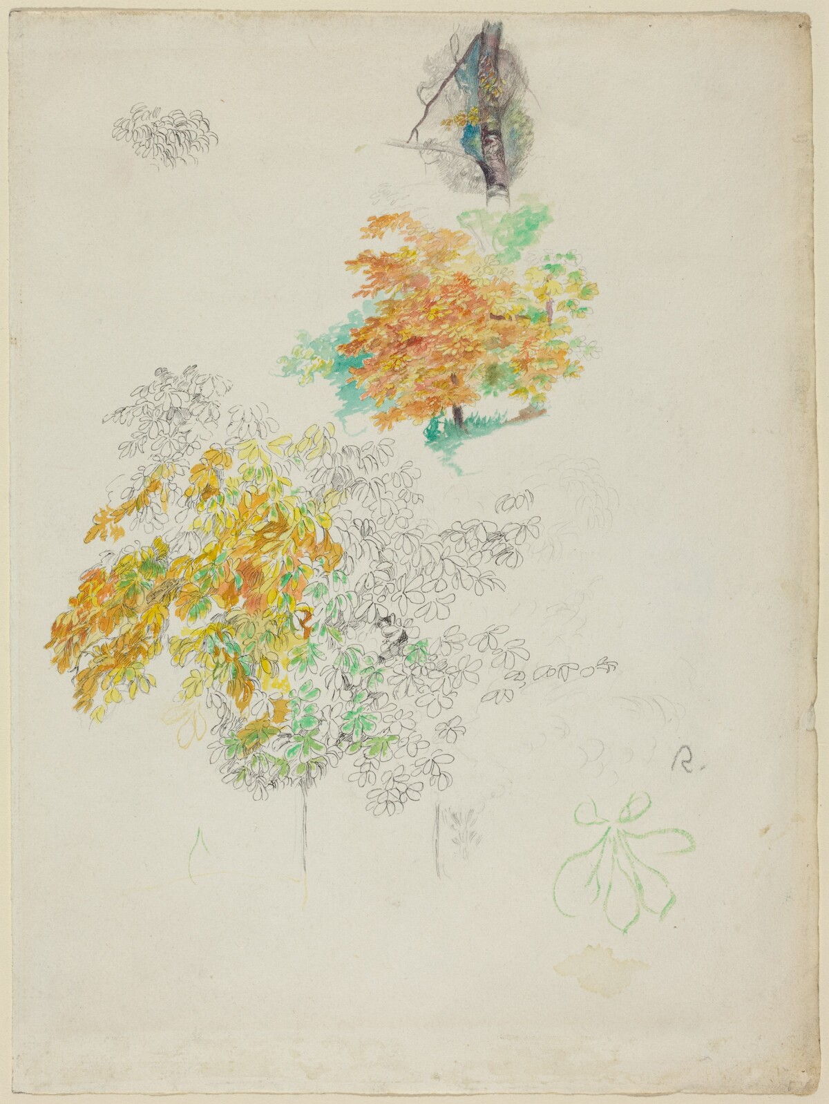 Studies of Trees by Auguste Renoir