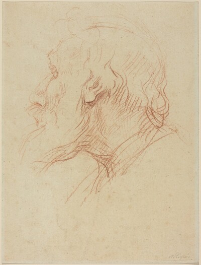 Study of a Beggar