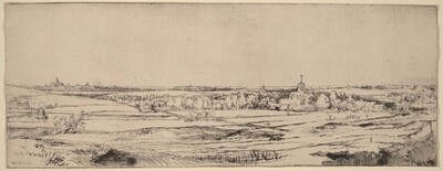 Landscape with a View toward Haarlem (The Goldweigher's Field)
