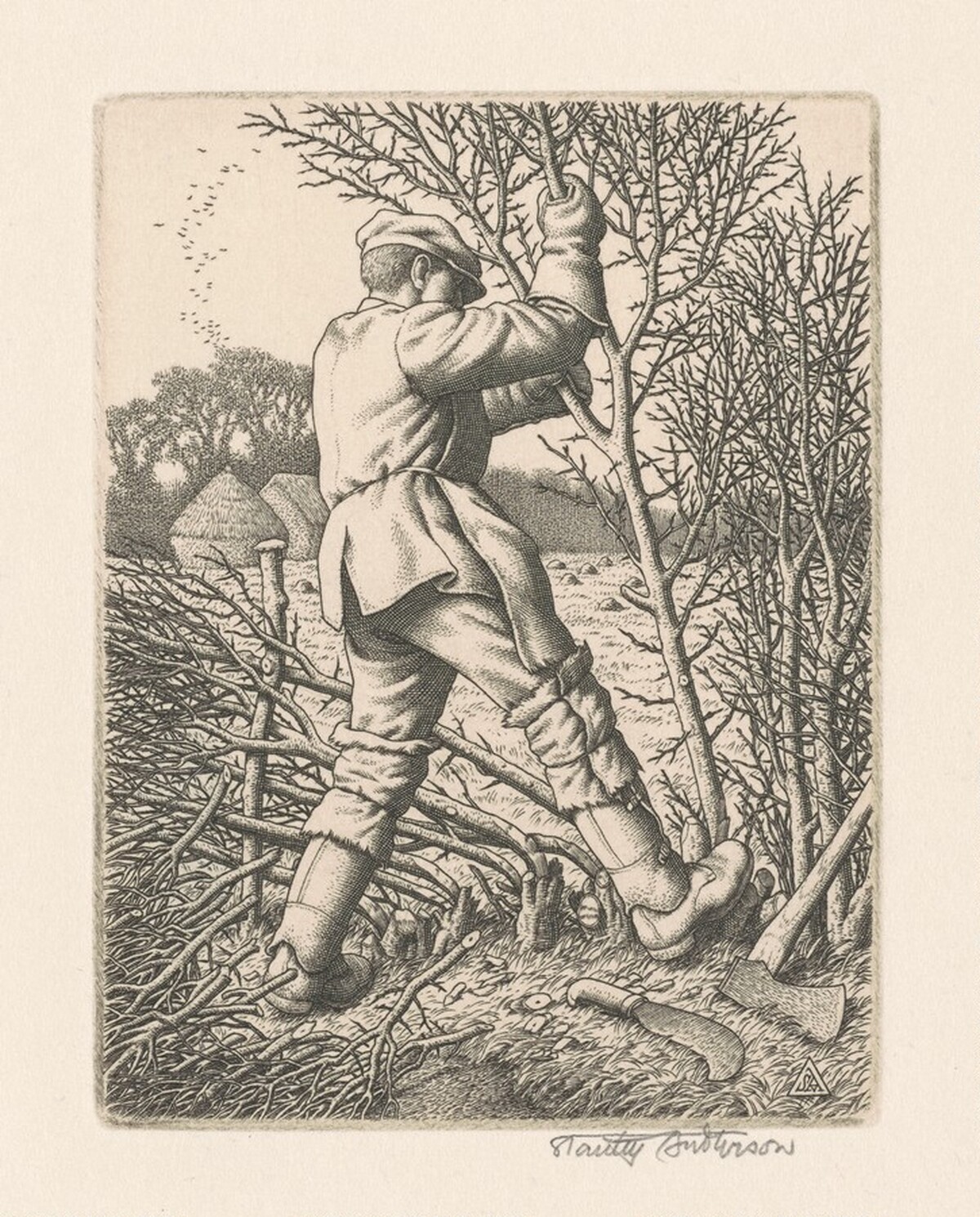 Hedge Laying by Stanley Anderson