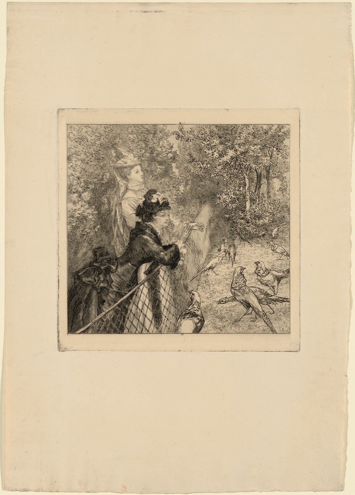 Au Jardin d'Acclimatation (In the Zoological Garden) by Félix Bracquemond