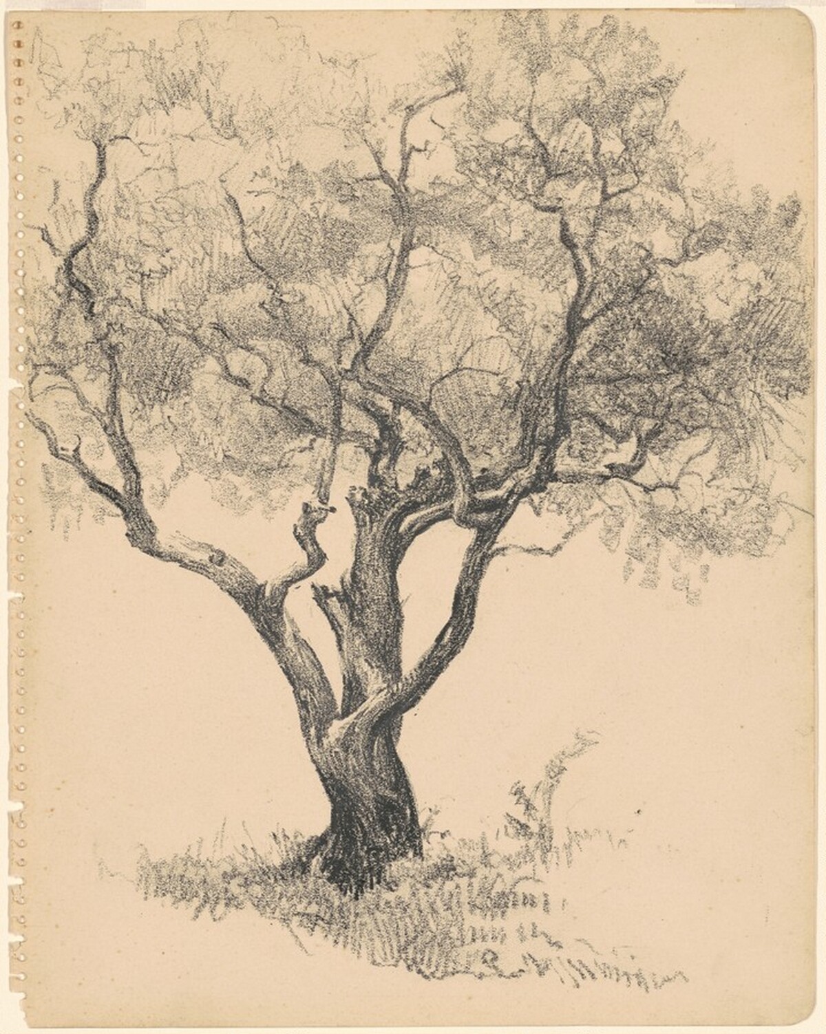 Tree by Eugen Weisz