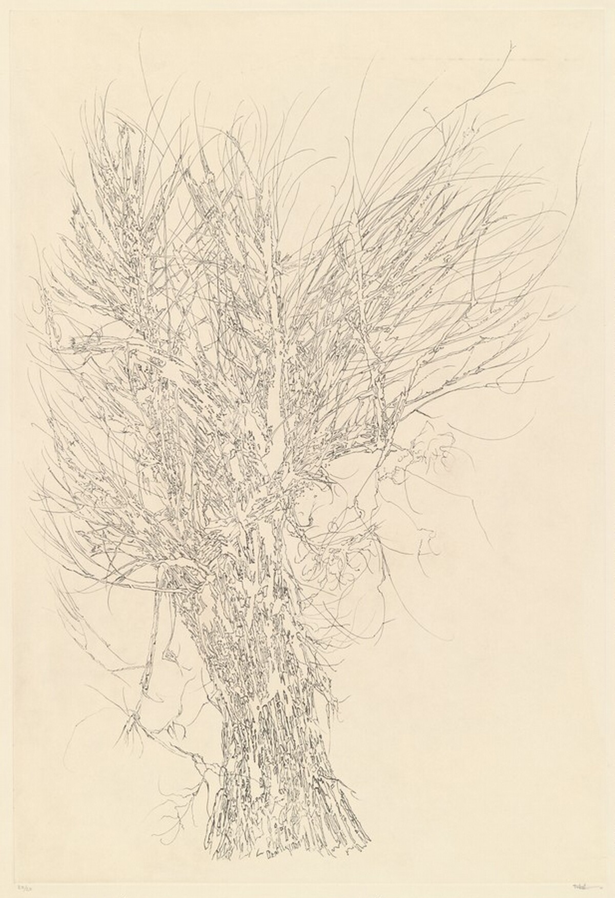 Winter Tree by Peter Takal
