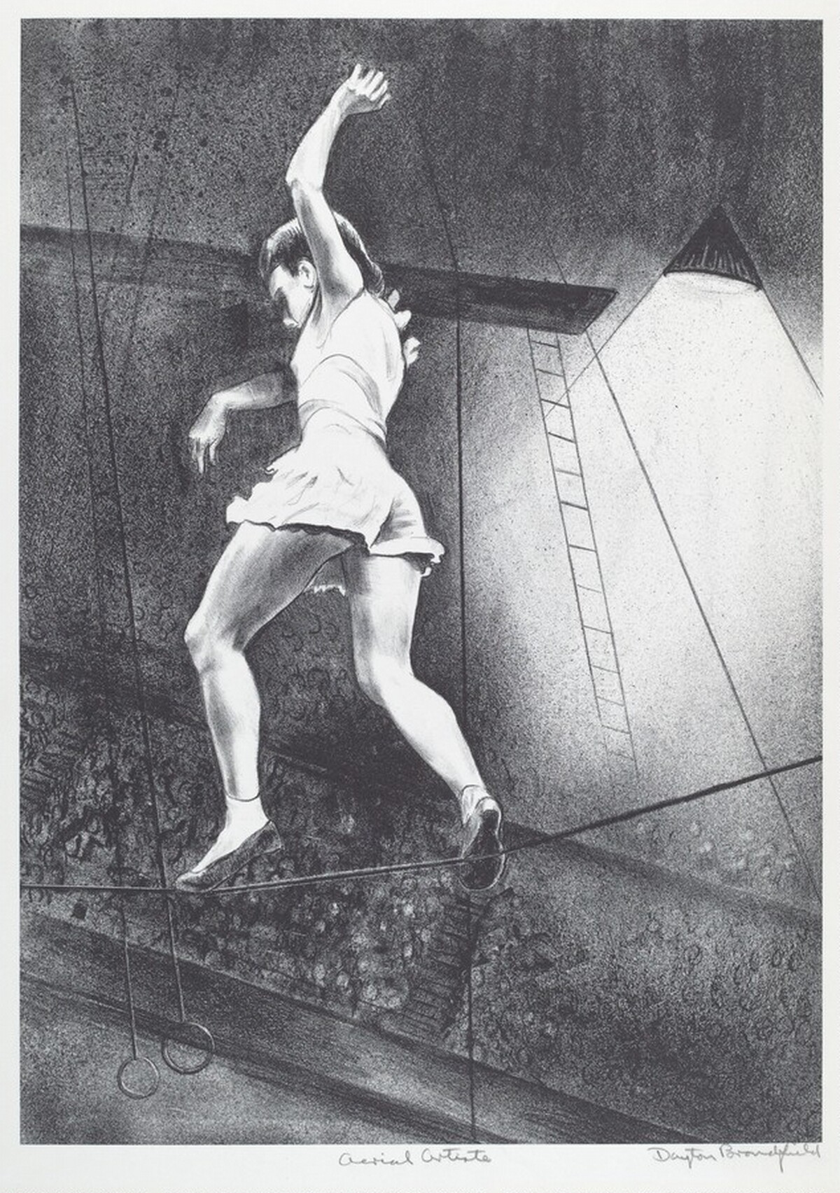 Aerial Artiste by Dayton Brandfield