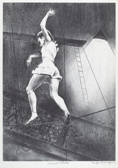 Aerial Artiste