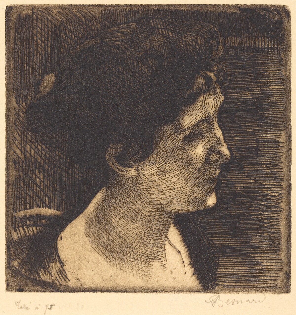 Woman in Full Profile (Grand profil de femme) by Albert Besnard