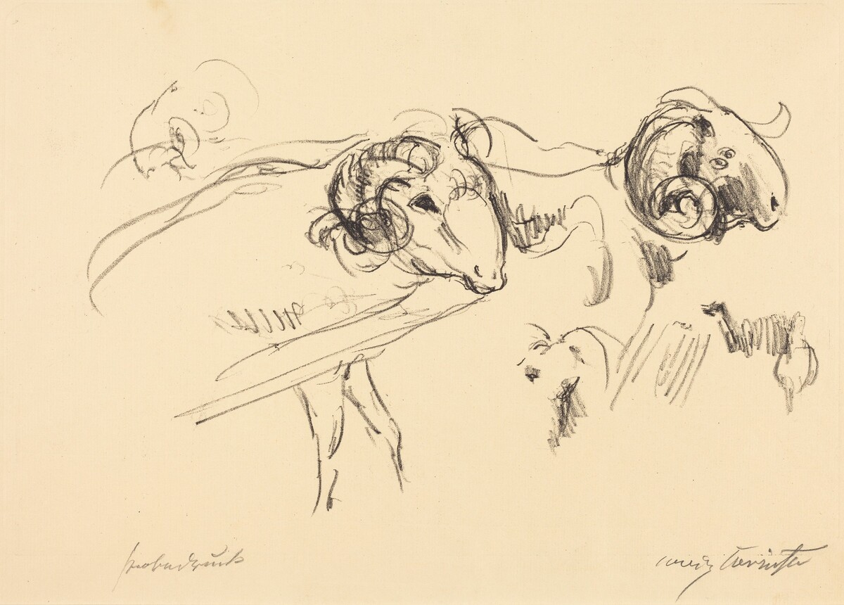 Schafböcke (Rams) by Lovis Corinth